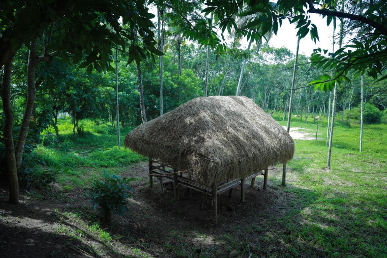Royal Wooden Villa Mananthavady Extérieur photo